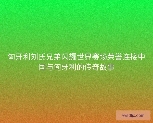匈牙利刘氏兄弟闪耀世界赛场荣誉连接中国与匈牙利的传奇故事