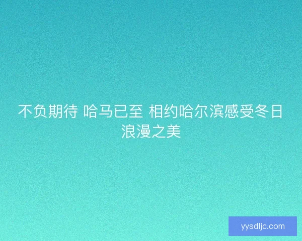 不负期待 哈马已至 相约哈尔滨感受冬日浪漫之美