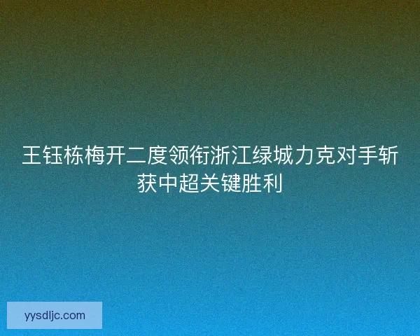 王钰栋梅开二度领衔浙江绿城力克对手斩获中超关键胜利